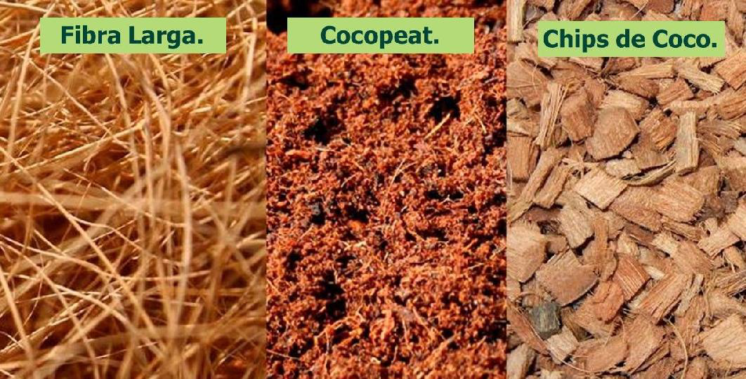 Productos Ornavital